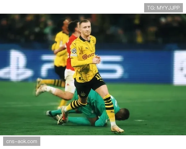 特写：老将罗伊斯替补登场，威斯特法伦球场响起经久不息掌声